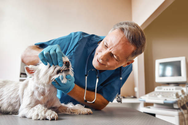 Best Emergency Tooth Extraction in Millen, GA